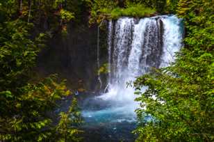 Lower Proxy Falls-0224.jpg